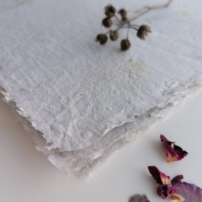 handmade recycled paper rose seeded